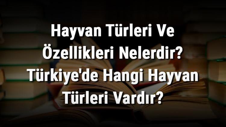 Hayvan Türleri Ve Özellikleri Nelerdir Türkiyede Hangi Hayvan Türleri Vardır