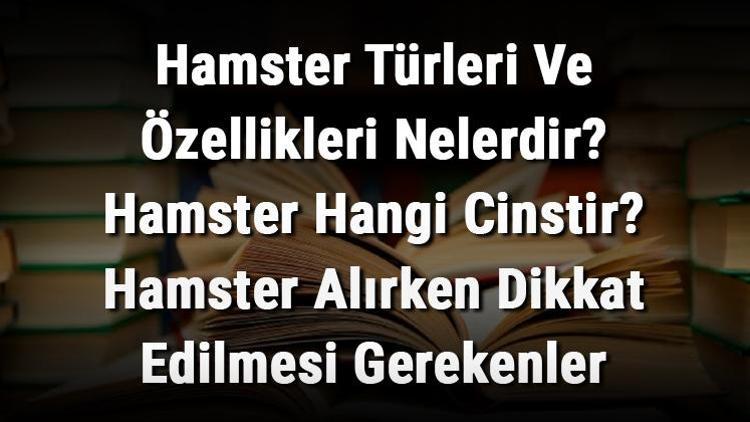 Hamster Türleri Ve Özellikleri Nelerdir Hamster Hangi Cinstir Hamster Alırken Dikkat Edilmesi Gerekenler