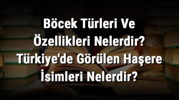 Böcek Türleri Ve Özellikleri Nelerdir Türkiyede Görülen Haşere İsimleri Nelerdir