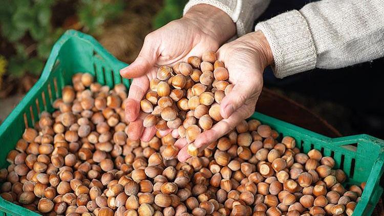 Rekolte oyunuyla fiyatı ayarlıyorlar