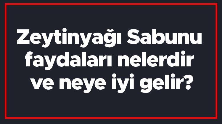 Zeytinyağı Sabunu faydaları nelerdir ve neye iyi gelir? Zeytinyağı Sabununun saça, yüze ve cilde faydaları