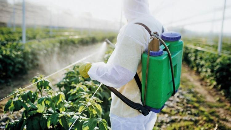 Pestisitlerde kalıntı limiti belirlendi