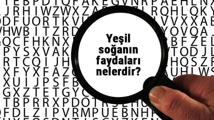 Yeşil soğanın faydaları nelerdir, hangi hastalıklara iyi gelir? Çiğ soğan yemenin faydaları nelerdir?