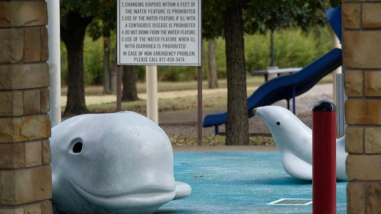 ABDde beyin yiyen amip paniği Şehirdeki tüm parklar kapatıldı