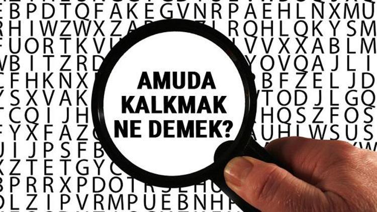 Amuda kalkmak ne demek Amuda kalkmak TDKya göre sözlük anlamı nedir