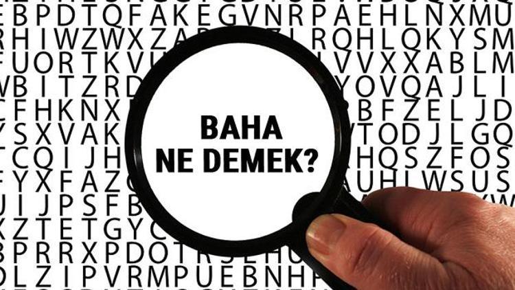 Baha ne demek Baha kelimesinin anlamı nedir TDKya göre sözlük anlamı..