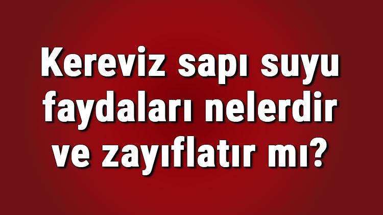 Kereviz sapı suyu faydaları nelerdir ve zayıflatır mı Kereviz sapı suyunun cilde faydaları ve neye iyi gelir