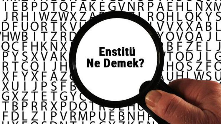 Enstitü ne demek Enstitü kelimesinin anlamı nedir TDKya göre sözlük anlamı...