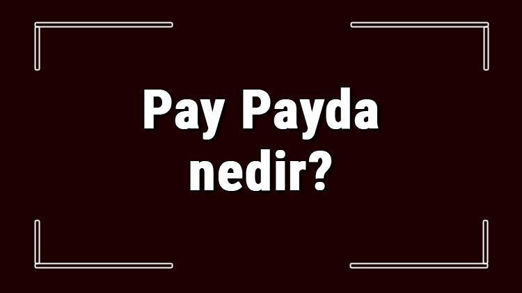 Pay Payda nedir ve yerleri neresidir Pay Payda hesaplama ve ilişkisi konu anlatımı