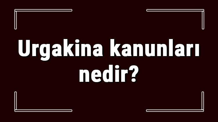 Urgakina kanunları nedir ve hangi uygarlığa aittir Urgakina kanunları maddeleri ve önemi hakkında bilgi