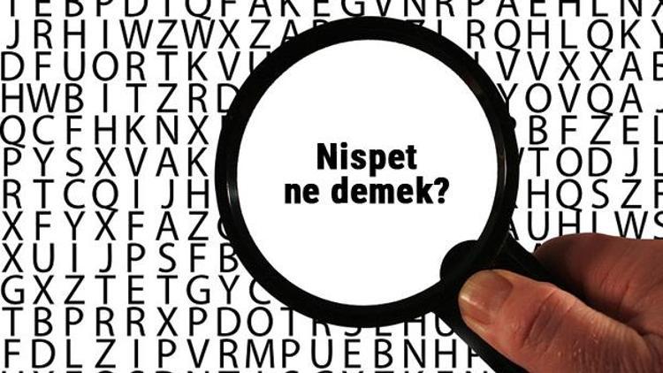 Nispet ne demek Nispet kelimesinin anlamı nedir TDKya göre sözlük anlamı...