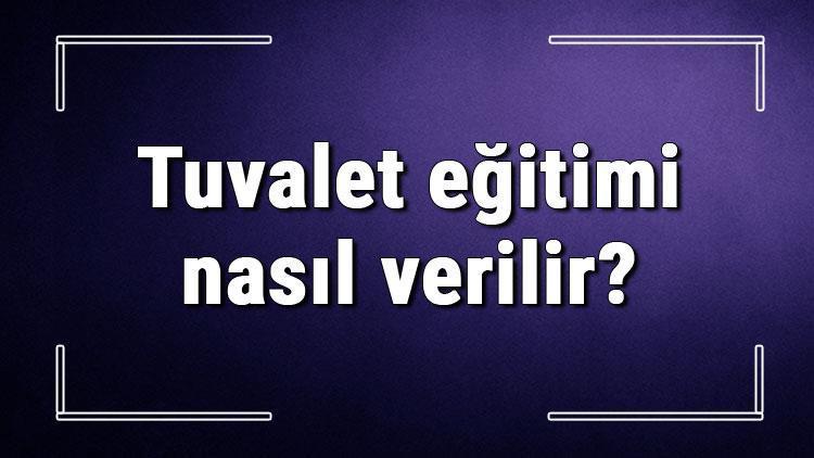 Tuvalet eğitimi nasıl ve kaç yaşında verilir Çocuklar kaç yaşında tuvalete alıştırılmalı