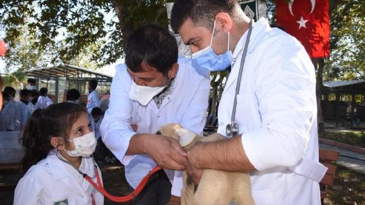 Küçük veteriner hekimler hayvanların kalbini dinledi