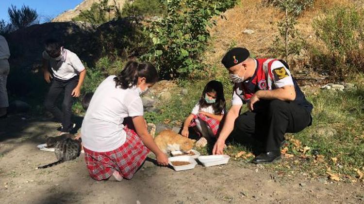 Jandarma, öğrencilerle birlikte sokak hayvanlarını besledi