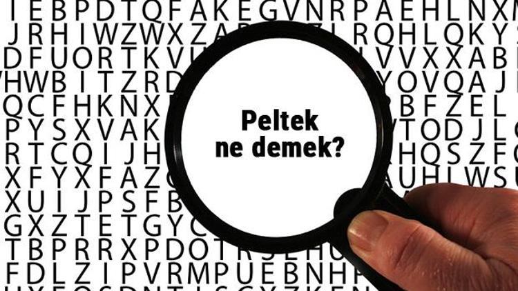 Peltek ne demek Peltek kelimesinin anlamı nedir TDKya göre sözlük anlamı...
