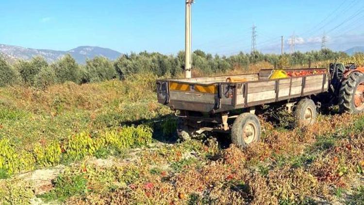 Manisada traktörün çarptığı kadın hayatını kaybetti