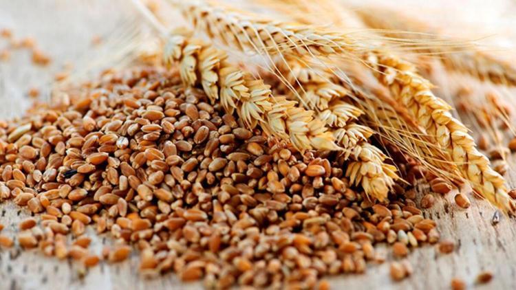 Tam buğday unu besin değerleri: 100 gr tam buğday unu kaç kalori? Protein ve karbonhidrat değerleri..