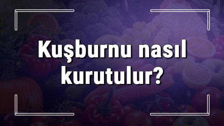 Kuşburnu nasıl kurutulur? Taze kuşburnunu güneşte ve fırında kurutma yöntemleri