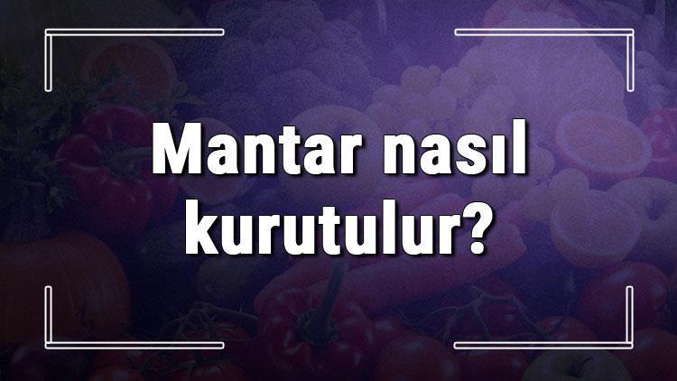 Mantar nasıl kurutulur? Evde fırında ve güneşte kültür, sinek ve porçini ile kanlıca mantarı kurutma