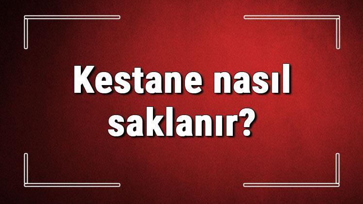 Kestane nasıl saklanır Pişmiş kestane dondurucuda ve buzdolabında kaç gün saklanır