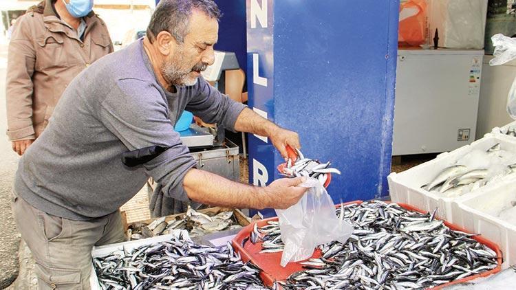 Karadeniz’de hamsi bolluğu: Fiyatı 15 TLye düştü