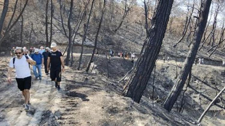 Yangınlarda zarar gören bölgede doğa yürüyüşü