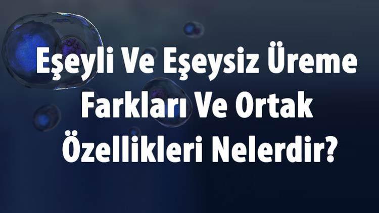 Eşeyli Ve Eşeysiz Üreme Farkları Ve Ortak Özellikleri Nelerdir