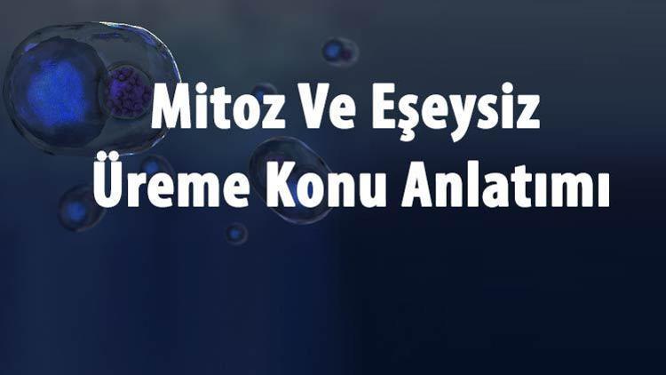 Mitoz Ve Eşeysiz Üreme Konu Anlatımı