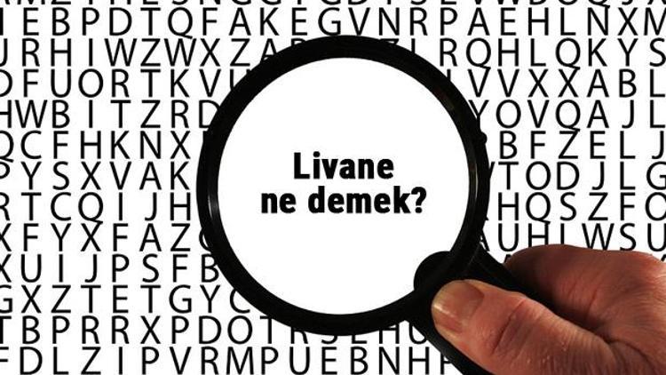 Livane ne demek, ne anlama geliyor Livane kelimesinin anlamı nedir TDKya göre sözlük anlamı...