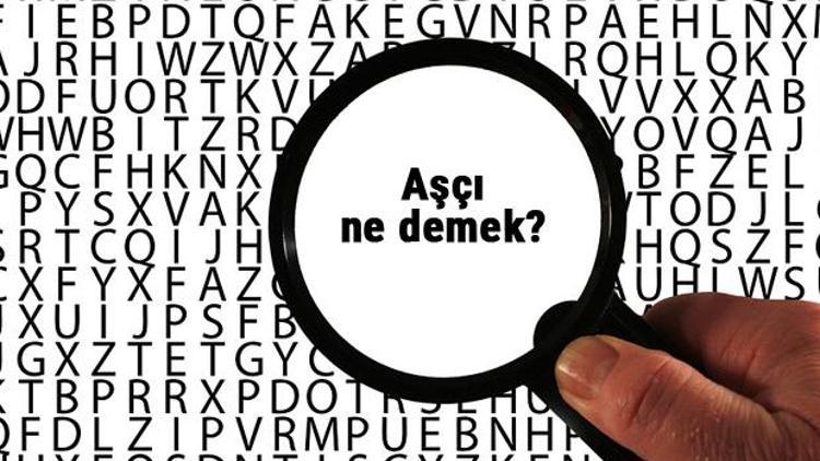 Aşçı ne demek, ne anlama geliyor Aşçı kelimesinin anlamı nedir TDKya göre sözlük anlamı...