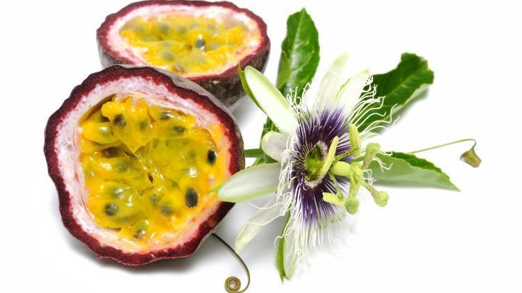 Passiflora Meyvesi (Çarkıfelek) Nedir, Neye İyi Gelir Passiflora Meyvesi Faydaları ve Özellikleri