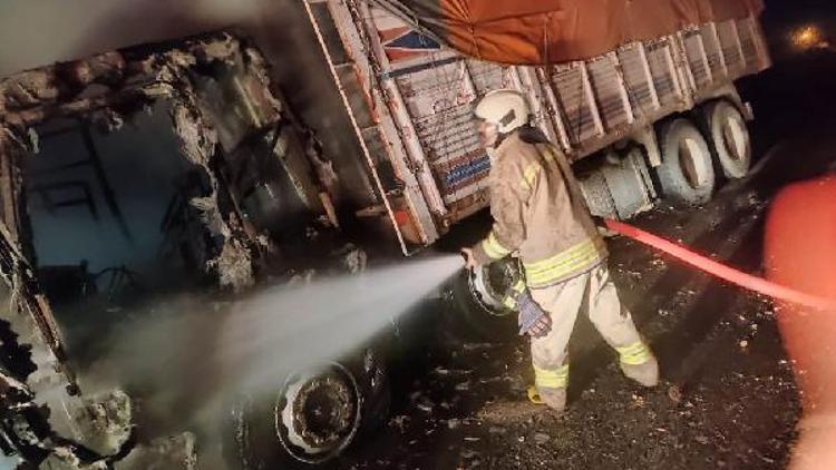 Mardinde mısır yüklü kamyon yandı