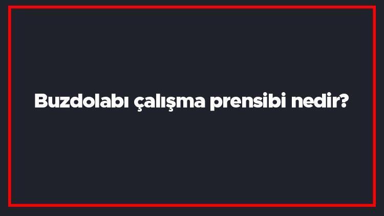 Buzdolabı çalışma prensibi nedir Buzdolabı nasıl çalışır, nasıl soğutma yapar