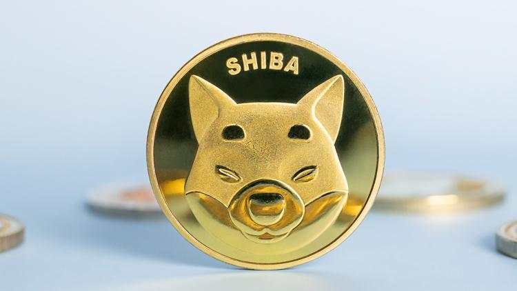 Kripto para piyasaları Shiba Inu’yu izliyor Yüzde 90 yükseldi
