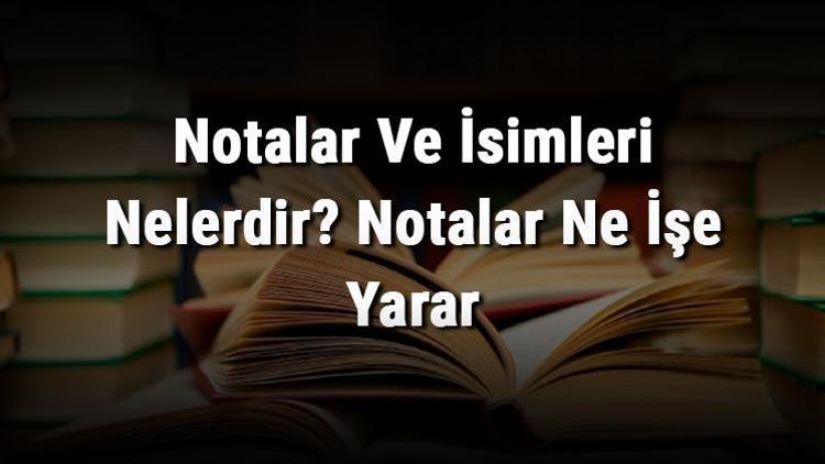 Notalar Ve İsimleri Nelerdir Notalar Ne İşe Yarar