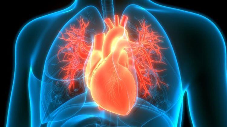 Kalp yetmezliği neden olur Kalp yetmezliği olunca ne olur, belirtileri nelerdir