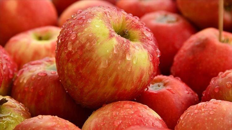 Elma ihracatı yüzde 65, elma suyu ihracatı yüzde 62 arttı