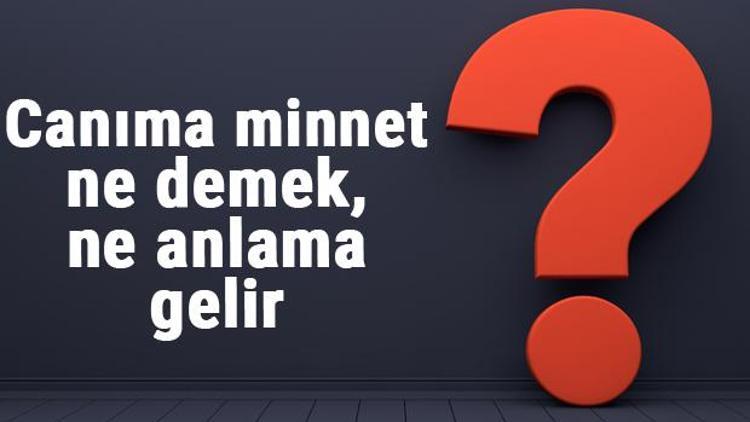 Canıma minnet ne demek, ne anlama gelir Canıma minnet kelimesinin TDK sözlük anlamı...