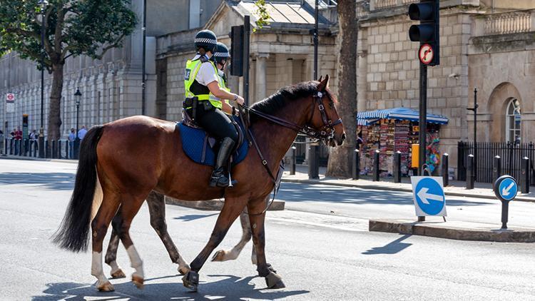 Atlı polis nasıl olunur, maaşları ne kadar Atlı polise ne denir