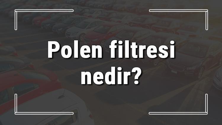 Polen filtresi nedir, ne işe yarar ve ne zaman değişir Polen filtresi tıkanırsa ne olur ve nasıl temizlenir