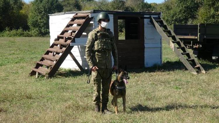 TSKnın sınır ötesi operasyonları için köpekler Bursa’da eğitiliyor