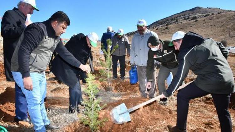 Tufanbeylide 400 fidan dikildi