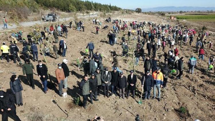 Milli Ağaçlandırma Gününde Bergamada 6 bin fidan toprakla buluştu