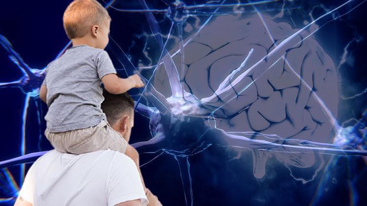 Çocuklarıyla daha fazla zaman geçiren babaların beyin yapısı farklı