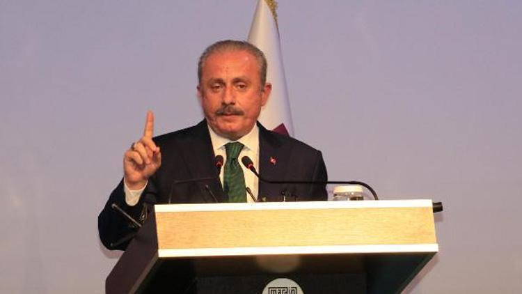 TBMM Başkanı Şentop: Hükümetin Kürtçeye karşı bir tavrı yok