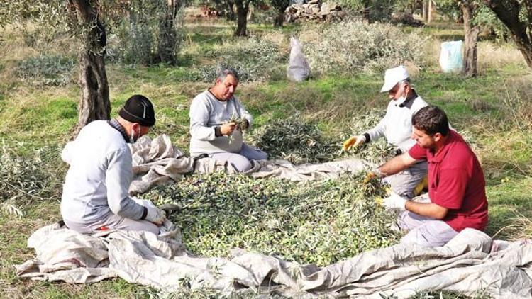 İhtiyaç sahiplerine dağıtılacak