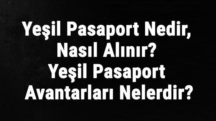 Yeşil Pasaport Nedir, Nasıl Alınır Yeşil Pasaport Avantarları Nelerdir