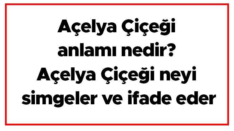 Açelya Çiçeği anlamı nedir Açelya Çiçeği neyi simgeler ve ifade eder