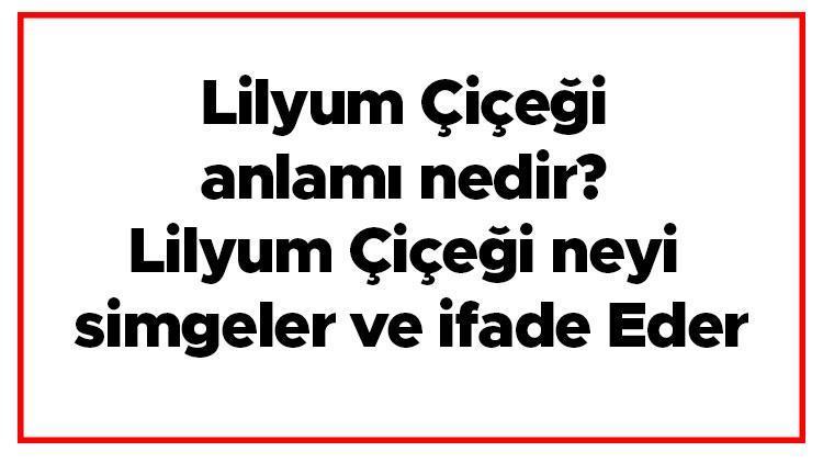 Lilyum Çiçeği anlamı nedir Lilyum Çiçeği neyi simgeler Ve İfade Eder