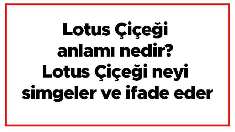 Lotus Çiçeği anlamı nedir Lotus Çiçeği neyi simgeler ve ifade eder